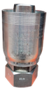 HEMBRA BRITANICA, NARIZ DE BOLA (FBSPORX)